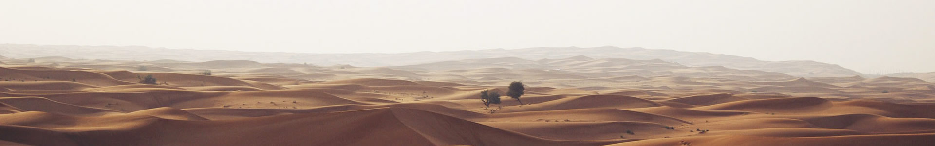 Ϲ̵½Ƽ޹˾